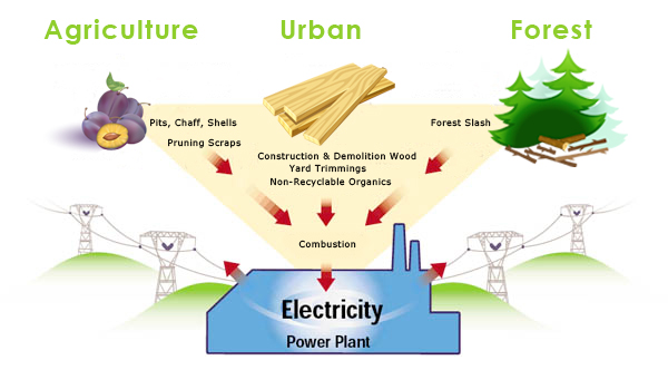 biomass energy and power