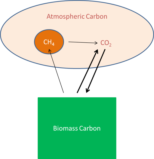 Biomass to Co2 infographic